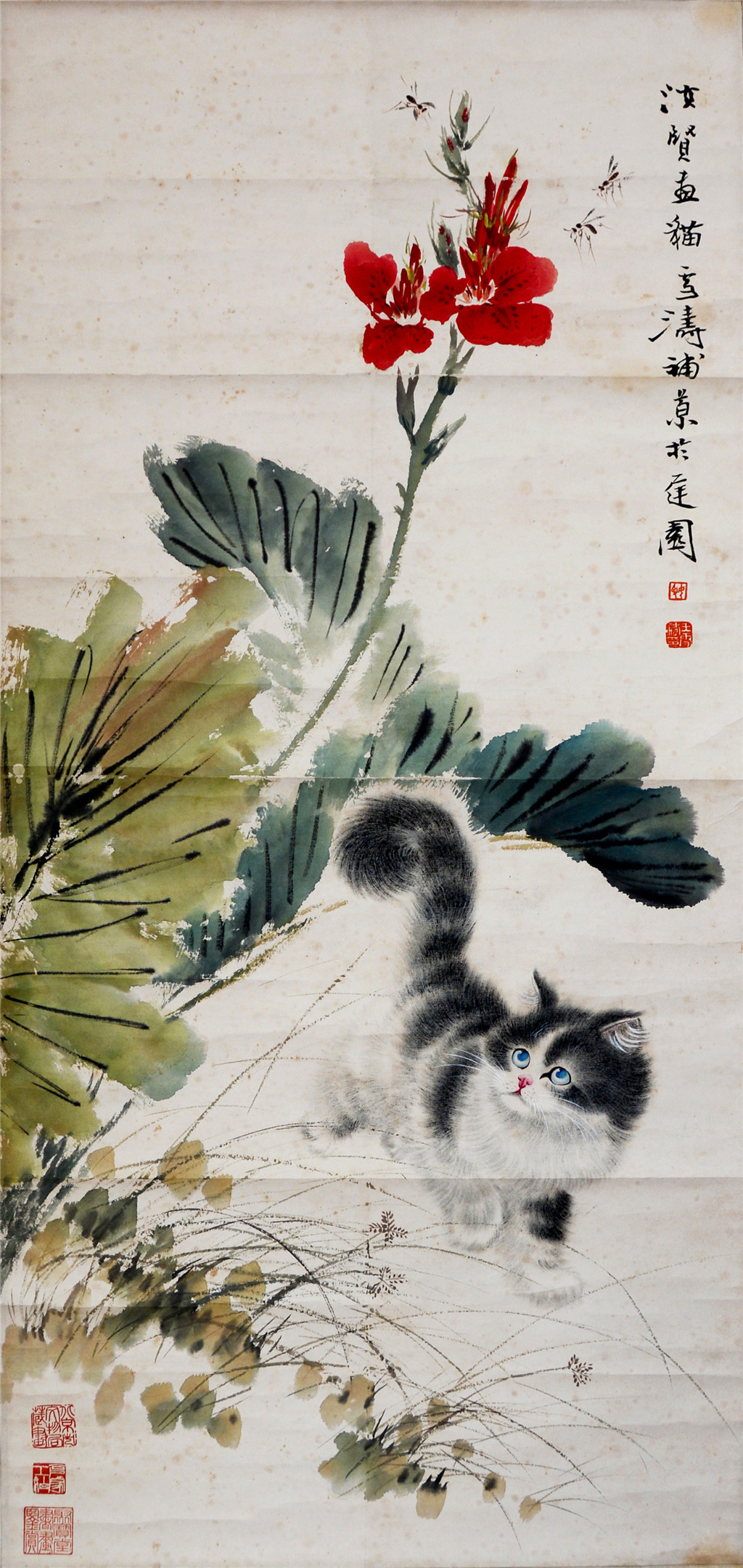 王雪涛 曹汝贤（1906-1977）猫蝶图   