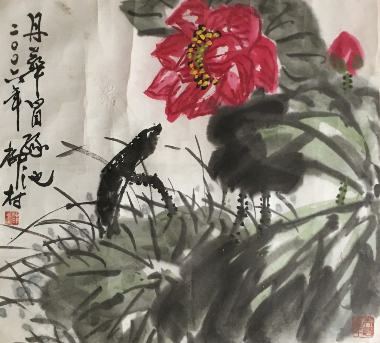 柳村  花卉