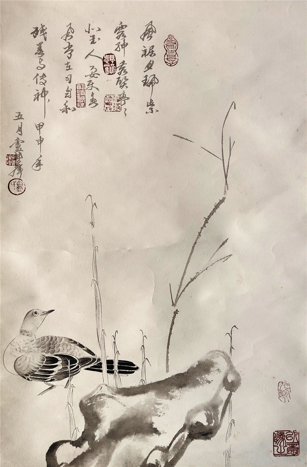 卢坤峰     花鸟