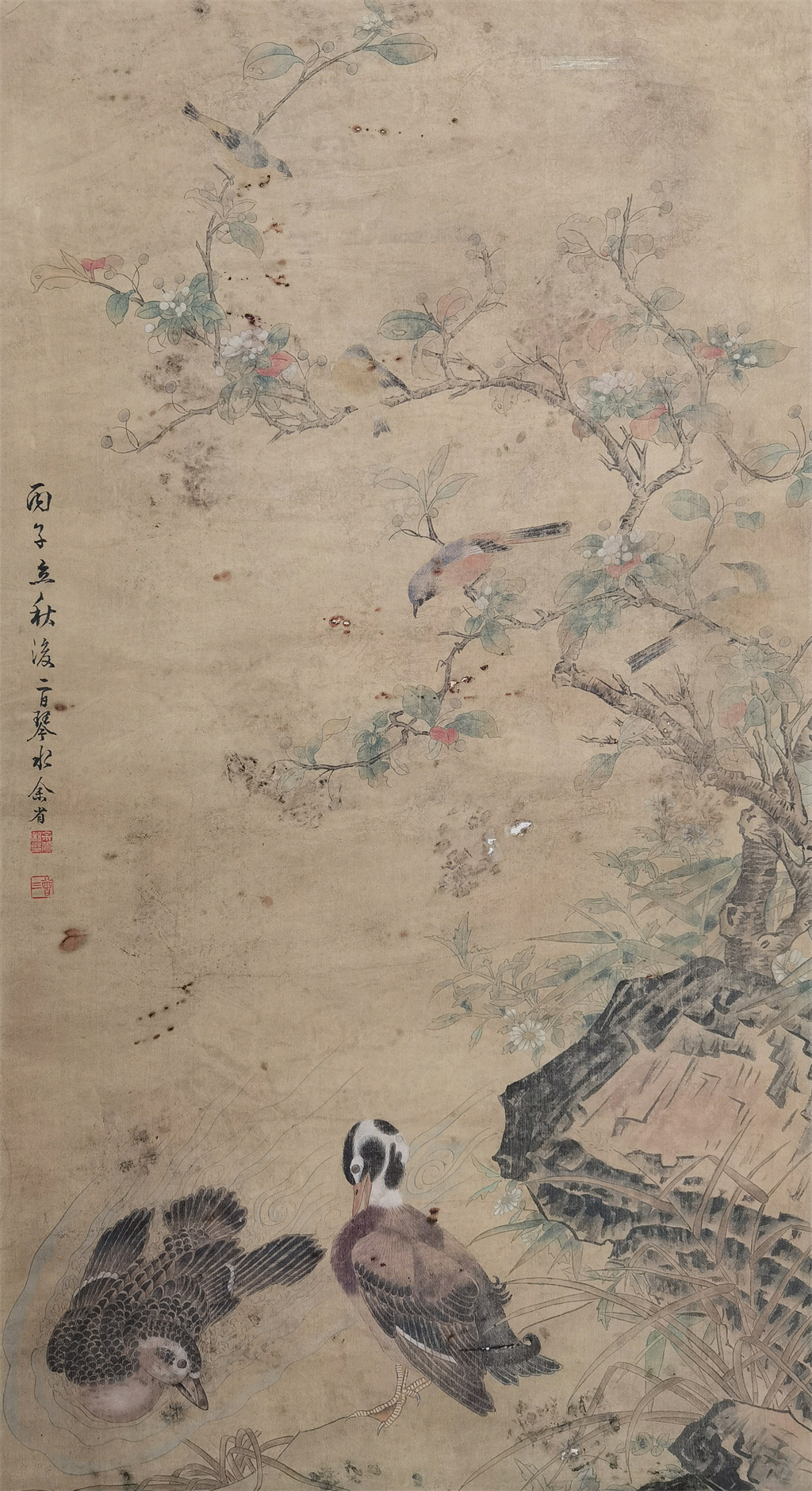余省      花鸟
